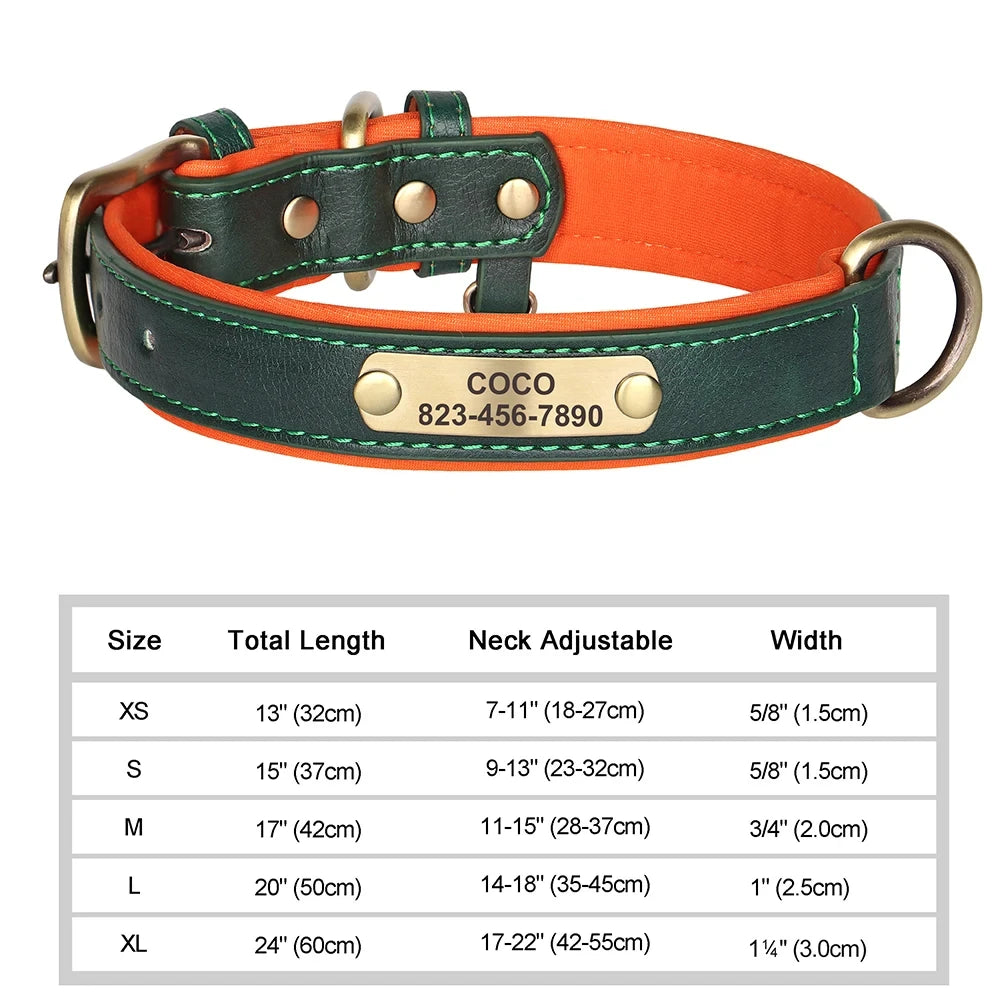 Collier en cuir personnalisé avec gravure pour chien