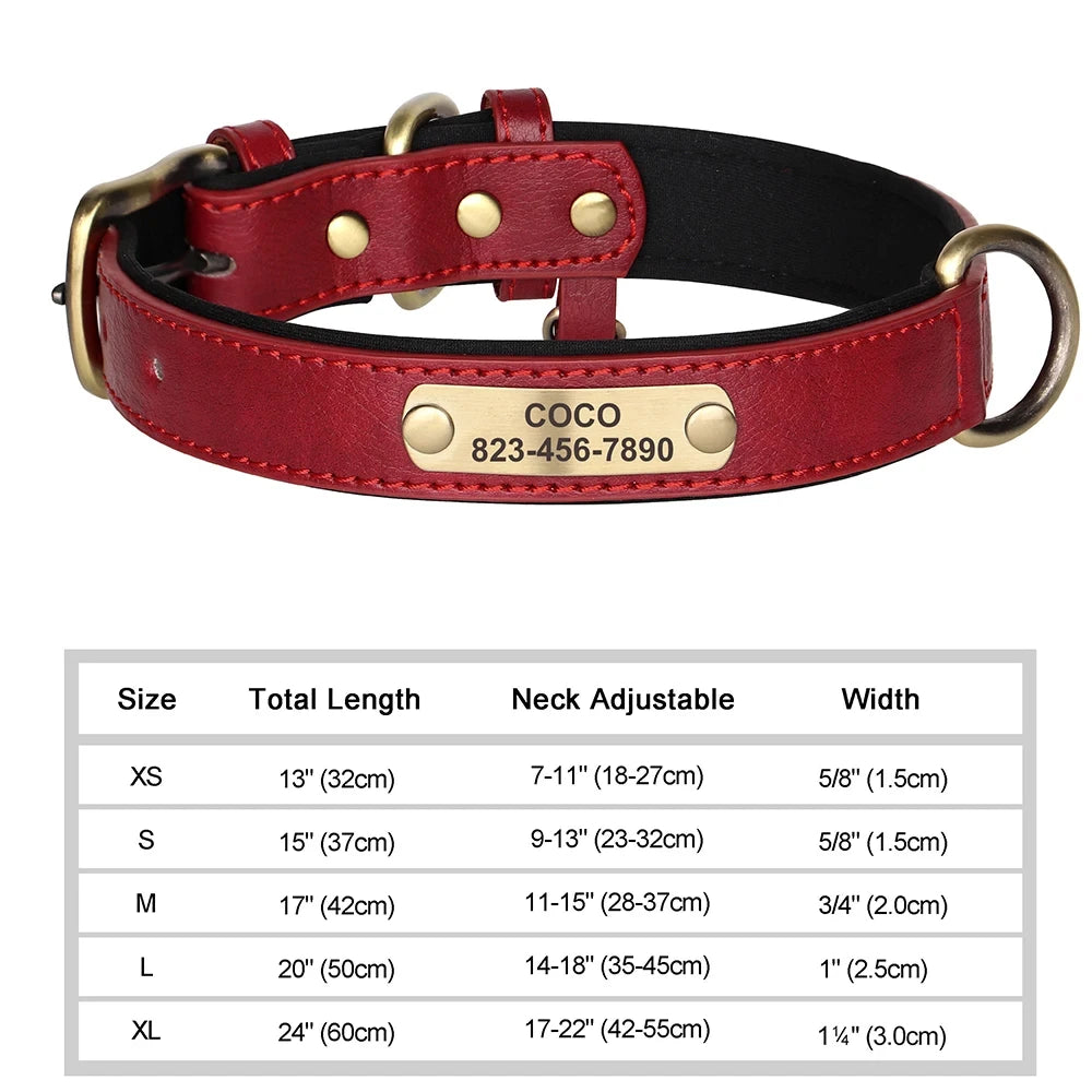 Collier en cuir personnalisé avec gravure pour chien