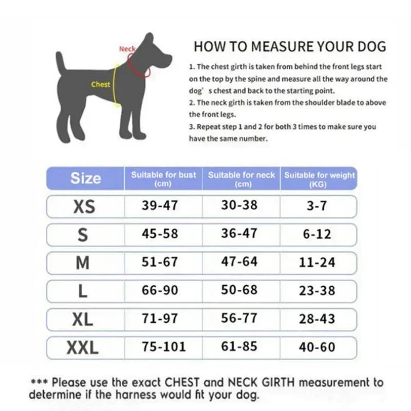 Harnais personnalisé pour chien – Réfléchissant, ajustable, avec prénom gravé | Toutes tailles