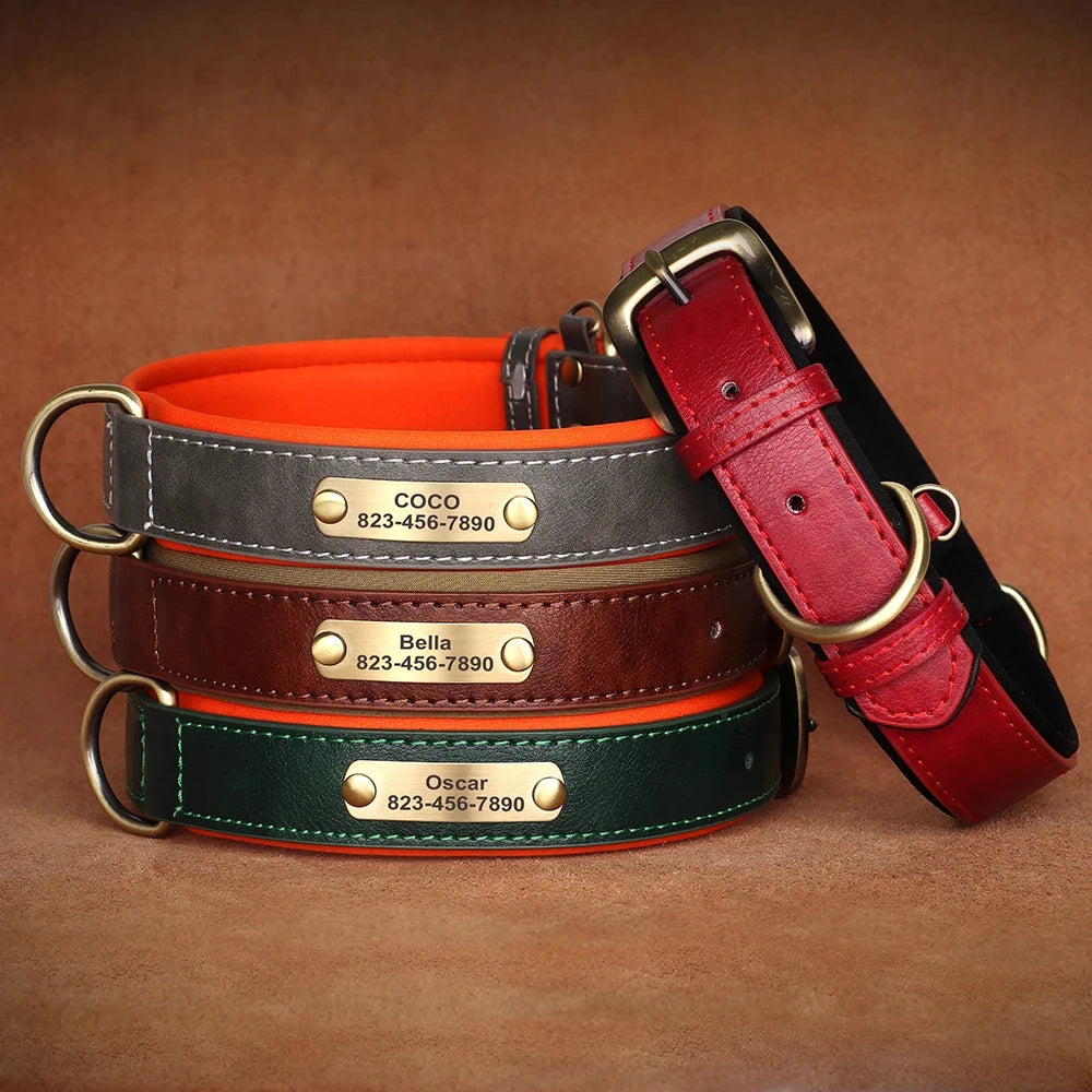 Collier en cuir personnalisé avec gravure pour chien