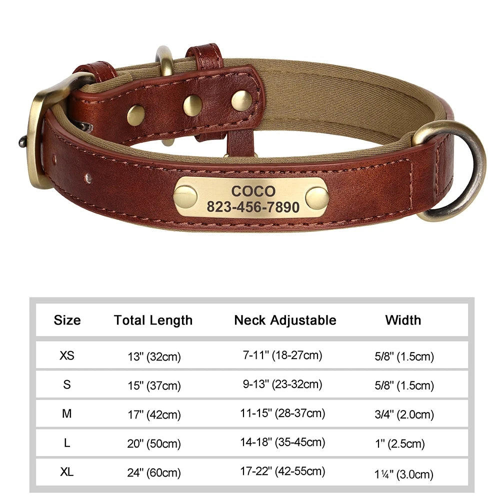 Collier en cuir personnalisé avec gravure pour chien