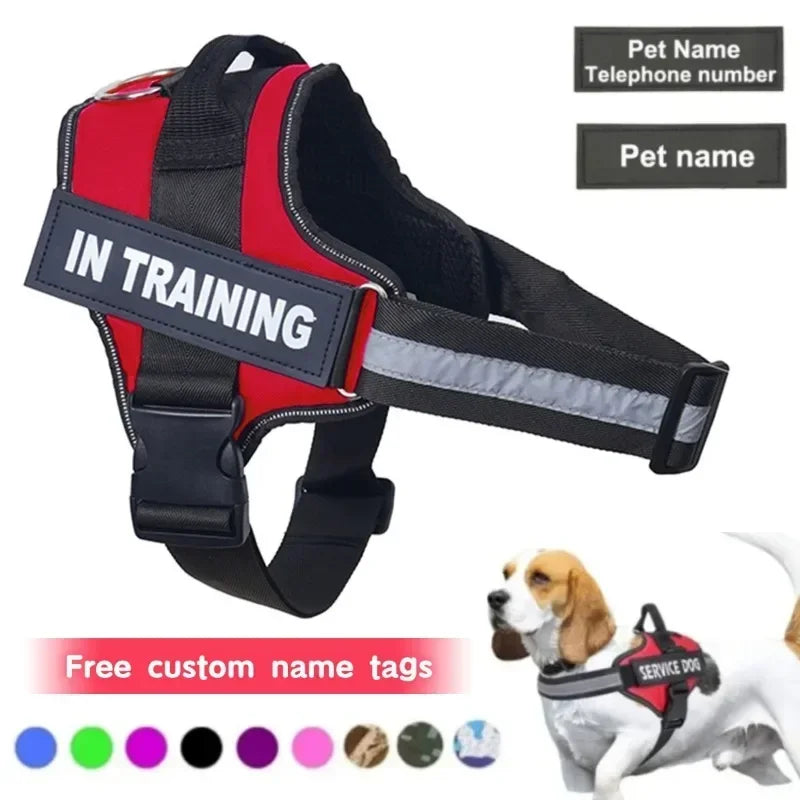 Harnais personnalisé pour chien – Réfléchissant, ajustable, avec prénom gravé | Toutes tailles