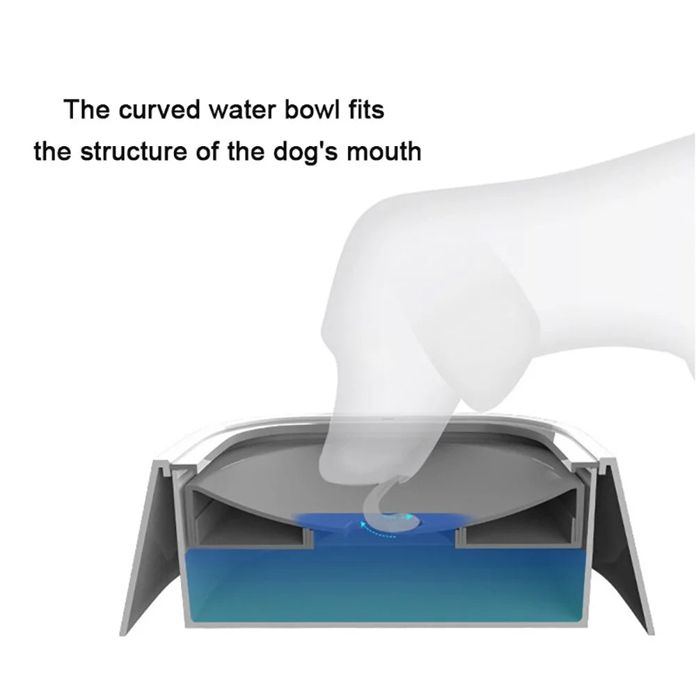 Gamelle à eau personnalisée pour chien et chat – Anti-débordement, prénom gravé | Sans éclaboussures