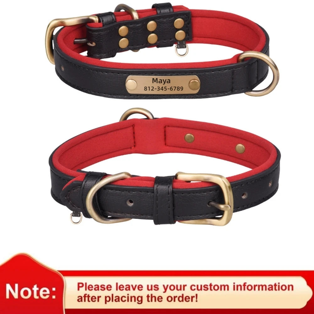 Collier en cuir personnalisé avec gravure pour chien