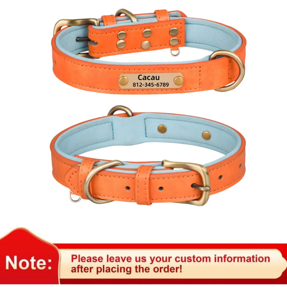 Collier en cuir personnalisé avec gravure pour chien