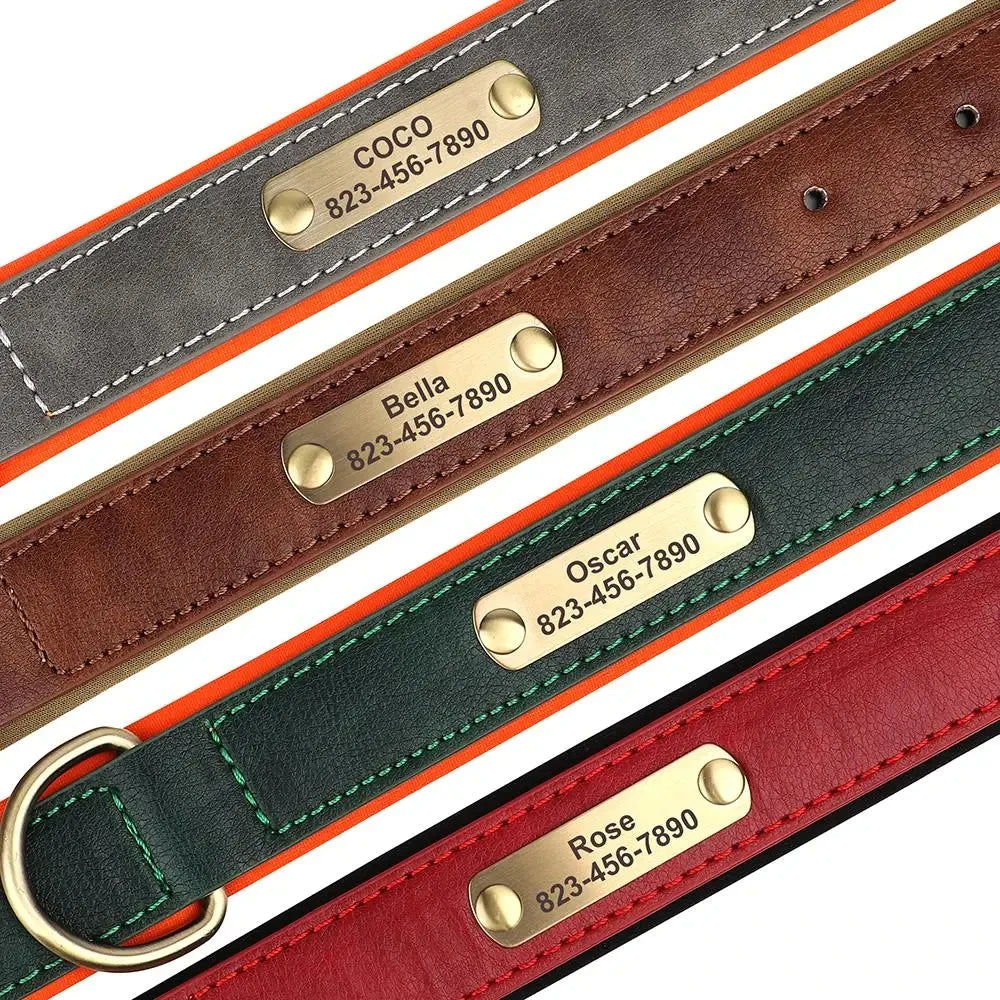 Collier en cuir personnalisé avec gravure pour chien