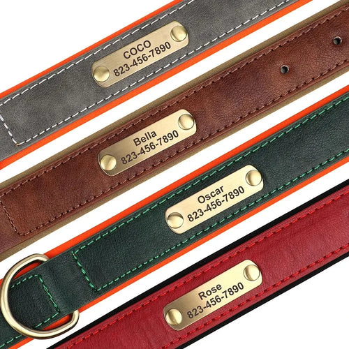 Collier en cuir personnalisé avec gravure pour chien