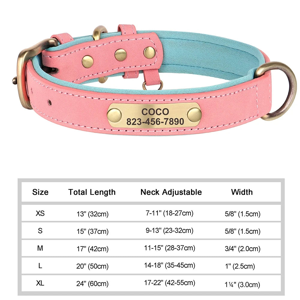 Collier en cuir personnalisé avec gravure pour chien